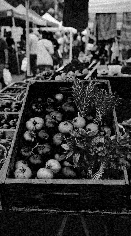 Graded with Orthochromatic: Red fruit rendered near black