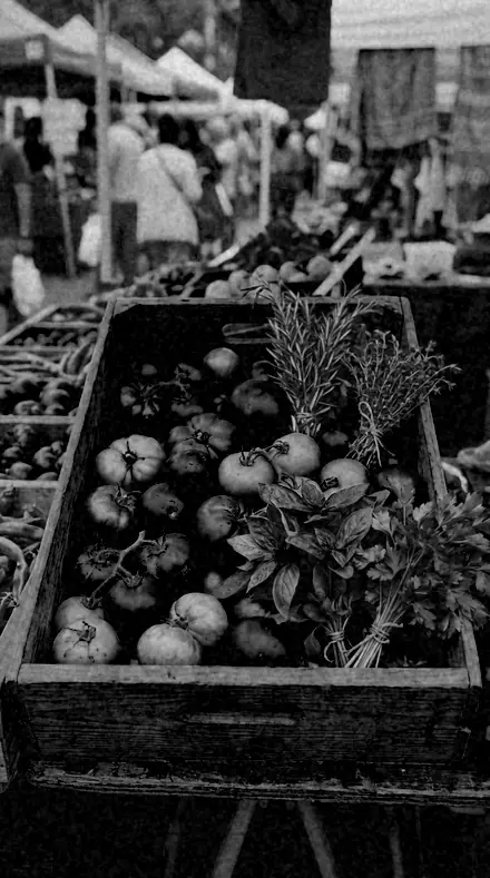 Chalk Sky applied to Red fruit rendered near black