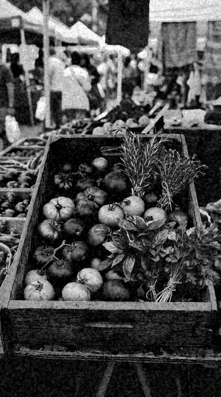 Plate Camera applied to Red fruit rendered near black