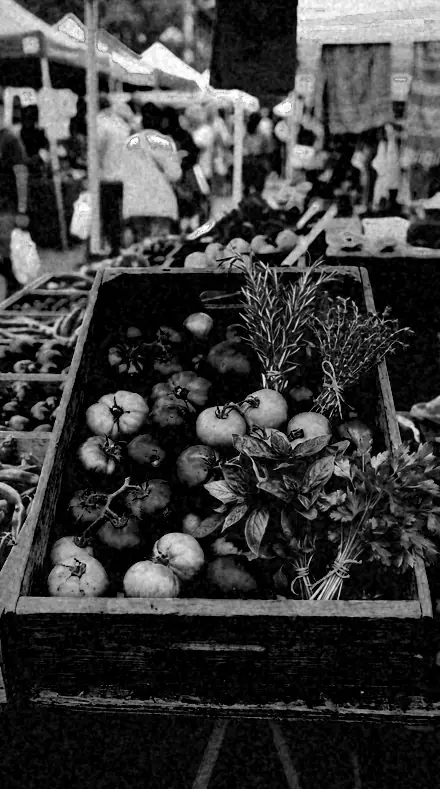 Early Emulsion applied to Red fruit rendered near black