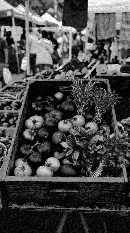 Studio Plate applied to Red fruit rendered near black