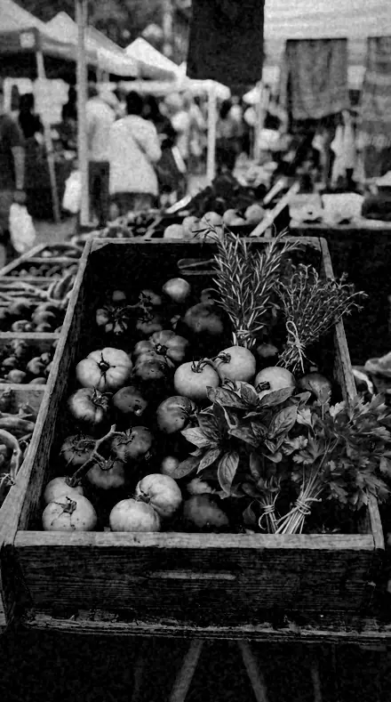 Portrait Plate applied to Red fruit rendered near black